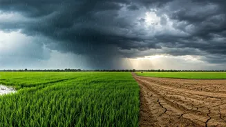 Rural Travel Moods Depend On Monsoon Strength