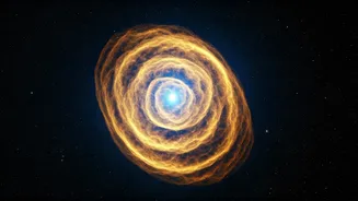 Zodiac Signs: Your Weekly Manifestation Guide