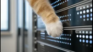 Pet Registration Beyond Dogs is turning municipal databases into animal-health infrastructure