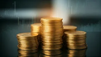 Unveiling India's Top Performing Funds: A Guide