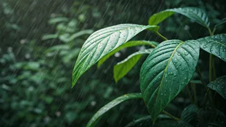 Rain-Proof Holidays Are Trending Across India