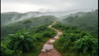 How slow-travel philosophies encourage rainy season exploration in Wayanad and Coorg