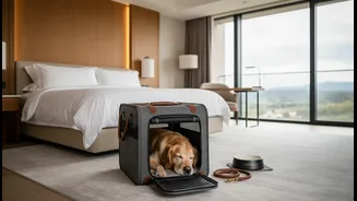 Indian Pet Parents Should Not Book Stays Without Confirming Breed Rules