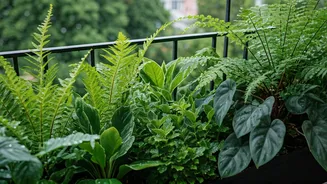 Rain-Friendly Plants For A Greener Balcony