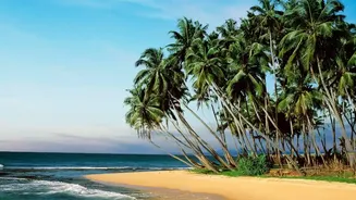 Budget Travel Hacks For Exploring Coastal Sri Lanka Without Pre Booking Flight Months Ahead