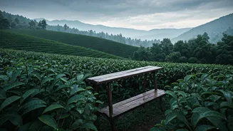 Monsoon Travel Now Starts With The Experience