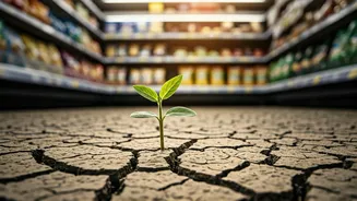 Food Prices Make Water Stress Feel Real