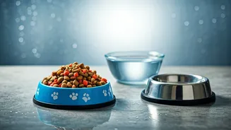 Monsoon Food Planning Can Keep Pets Healthier