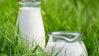 Lab-grown dairy to disrupt farming