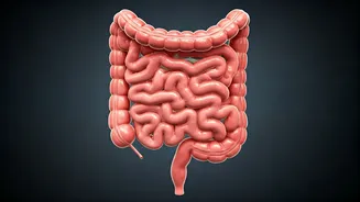 Are Your Bathroom Habits Affecting Gut Health?