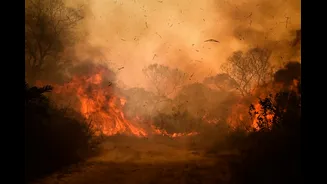 A ameaça do El Niño ao sistema elétrico brasileiro