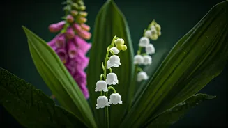 Beautifully Deceptive: 5 Stunning Flowers That Pack a Poisonous Punch