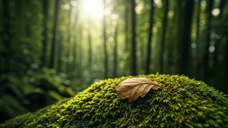 Travel Trends Turn Environment Friendly