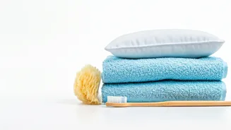 Household Replacements: When to Toss and Refresh