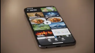 Beyond platform-controlled recommendation loops, Algorithm-Free Social Feeds highlight how users escape repetitive recommendation loops