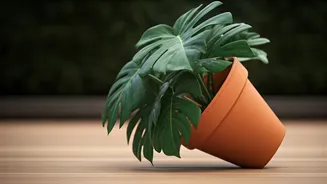 Tilted Pot Placement Can Save Your Plants