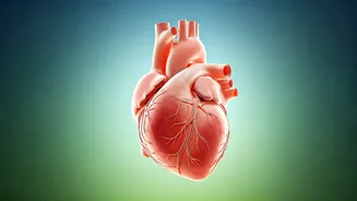 Related Stories banner