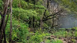 Rainy-Season Treks In The Western Ghats Need Better Preparation