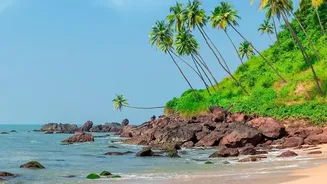 Why Remote Earners Prefer Varkala For Affordable Long Stays With Excellent Internet Access