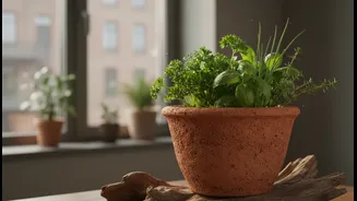 Why traditional terracotta cookware offers eco-friendly cooling benefits for urban apartment dwellers