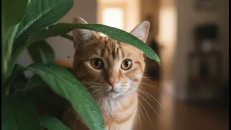 How Indoor Pet Owners Can Spot Early Indicators Of Monsoon Flea Proliferations Early