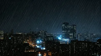 Delhi's Wettest January in Years: Rainfall & What's Next