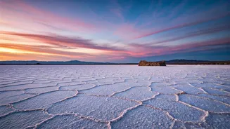 Rann of Kutch: A Dreamlike Odyssey Through Salt Flats, History, and Culture