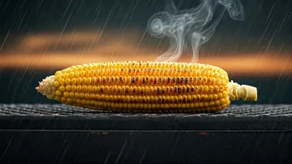 This Street Snack Screams Monsoon Vibes