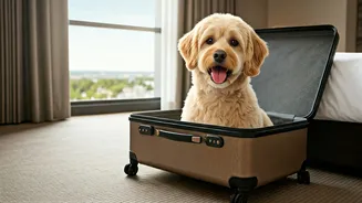 Indian Pet Parents Want Fur-Baby Approved Trips