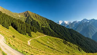 North India's Hills Become India's Favourite Escape