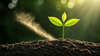 The Environment Is Becoming Everyone's Classroom