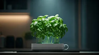 Hydroponic Micro Gardening Kits Allow Renters To Grow Fresh Cooking Basil