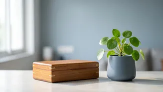 Build Safety First Or Start Investing? A Guide For First-Time Indian Savers