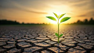 The Power of Consistent Action: Building a Brighter Future Through Discipline