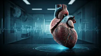 Heart Disease Strikes Men Sooner Than Expected: A Wake-Up Call for the Thirties