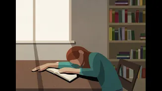 Talvez sua rotina de estudos não funcione por ser ‘perfeita’ demais