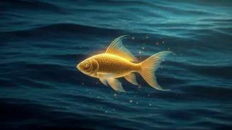 Related Stories banner