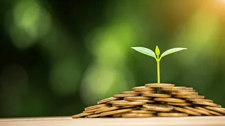 कमी भांडवलात कोणते व्यवसाय सुरु करता येतील?