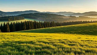 Skip Crowds For Pristine Green Meadows In Vagamon Kerala