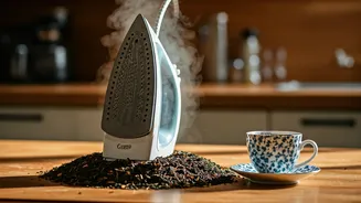 Unusual Stories: India's Interesting News Roundup