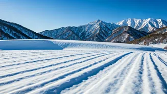 Bulan Terbaik Nikmati Salju di Jepang: Panduan Lengkap!