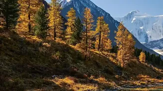 Kazakhstani Mountain Escapes Emerge As Unbeatable Autumn Travel Choice With Direct Budget Flights