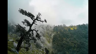 Himachal and Uttarakhand brace for very heavy rain; plains stay showery