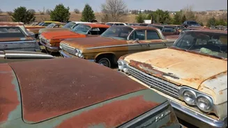Tesouro enferrujado: 300 clássicos da Chevrolet parados num campo vão a leilão