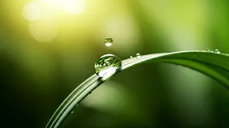 Unlock Radiant Skin: 5 Common Habits Sabotaging Your Complexion Revealed by a Dermatologist