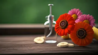 Balcony Gardeners Use Homemade Banana Peel Sprays For Flowers