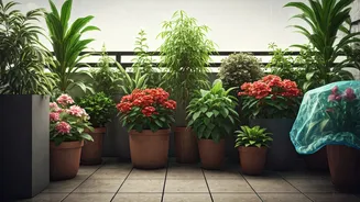 Pretty Balcony Gardens Need Practical Rain Prep