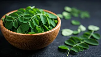 Moringa Leaves Are Built For Practical Indian Cooking