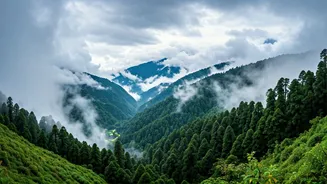 Sikkim Turns Into A Dreamy Misty Wonderland Right Now