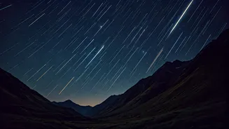 Look Up, Tonight Could Be Magical